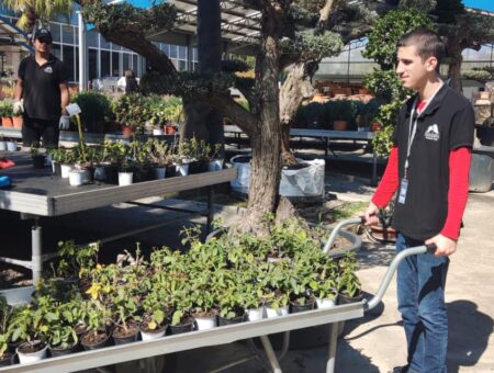 Fundación Vinci, formación en jardinería